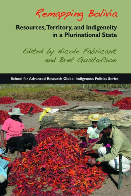 Remapping Bolivia: Resources, Territory, and Indigeneity in a Plurinational State